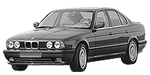 BMW E34 P1067 Fault Code